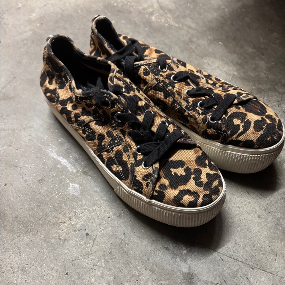 Steve Madden Leopard Print Canvas Sneakers - Black & Tan platforms